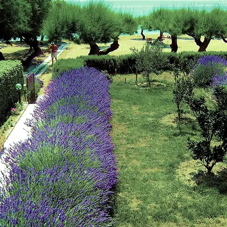 Apartment Lavanda Omis